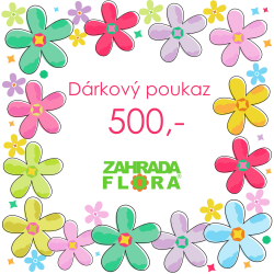 Dárkový poukaz 500Kč