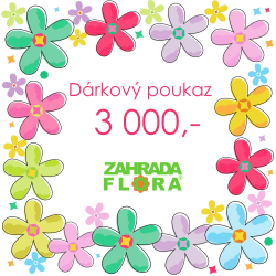 Dárkový poukaz 3000Kč