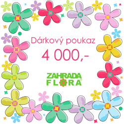 Dárkový poukaz 4000Kč